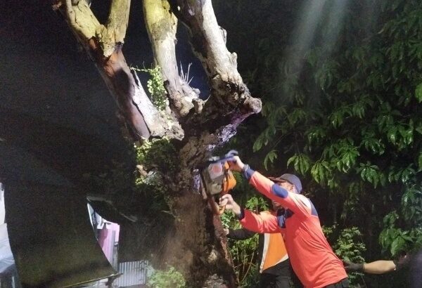 Anggota BPBD Kota Banjarmasin lakukan pembersihan dengan cara memotong dahan pohon yang tumbang di Jalan Masjid Jami, Surgi Mufti, Banjarmasin Utara, Minggu (16/2/2025). Foto: BPBD Kota Banjarmasin 5W1H