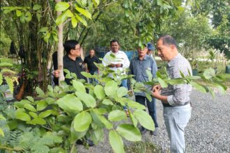 Penanggungjawab HPN 2025 sekaligus Ketua PWI Pusat Hendry CH Bangun bersama panitia HPN lainnya saat meninjau Arboretum Ayu Tirta, Sabtu (1/2/2025). Foto: Dok. PWI Kalsel