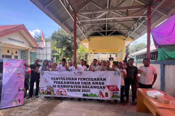 DP3A P2KB PMD Balangan