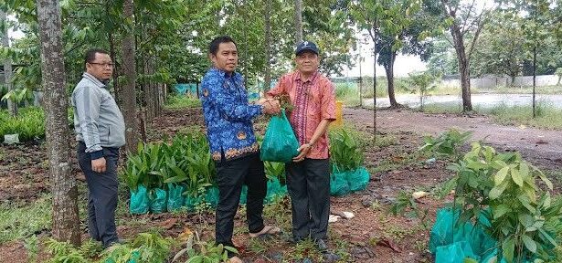 Hari Bumi