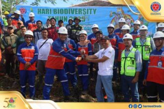 Indocement Tarjun