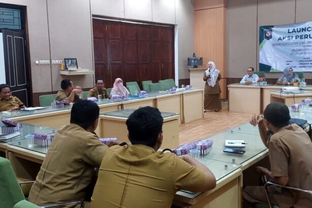 Pemkab Balangan Bangun Aplikasi Simtaru