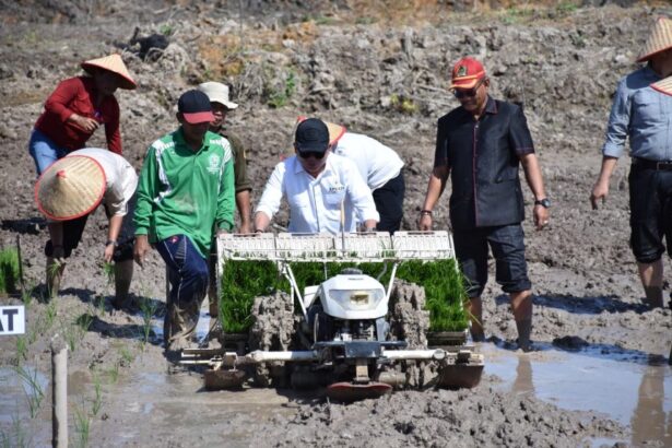 Pemkab Kapuas Serahkan Alsintan untuk Dukung Pertanian Modern