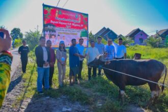Dua Sapi Kurban Diserahkan Bupati Kapuas untuk Warga Pulau Telo Baru