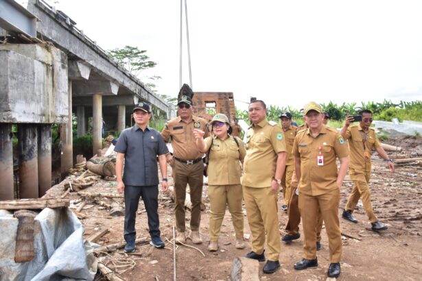 Wabup Kapuas Tinjau Jembatan Ambruk di Terusan Raya, Instruksikan Penanganan Cepat