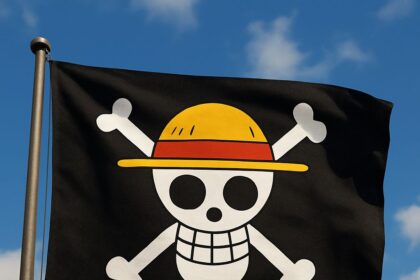 Fenomena Bendera One Piece