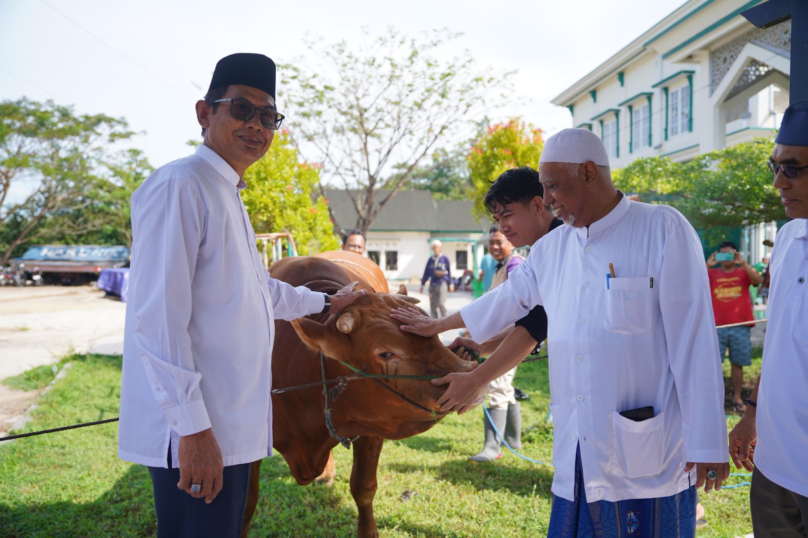 Presiden Prabowo Serahkan Sapi Kurban ke Masjid Al Akbar Balangan. Foto: MC Balangan