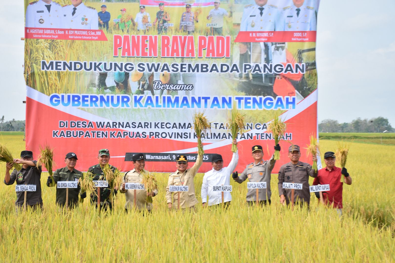 Gubernur Kalteng dan Bupati Kapuas Panen Raya Padi di Tamban Catur, Tegaskan Komitmen Perkuat Ketahanan Pangan