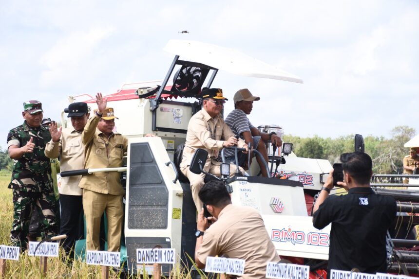 Gubernur Kalteng, Wagub, dan Bupati Kapuas Laksanakan Panen Raya Padi di Bataguh