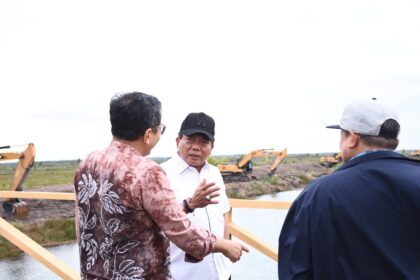 Bupati Kapuas dan Dirjen PKN IV BPK RI Tinjau Food Estate Dadahup